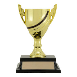 Angelo Cup Trophy